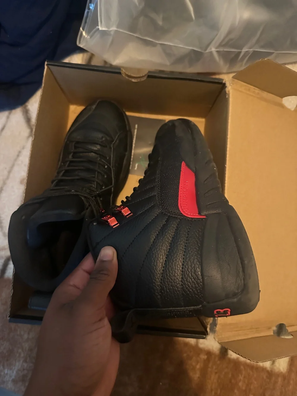 Jordan 12 bloodline men
